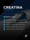 Creatina STRIVE Monohidratada Blue